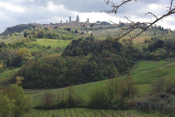 Siena and San Gimignano, The Glory Of Medieval Age In Tuscany - The Experience Value: Is It Worth It?