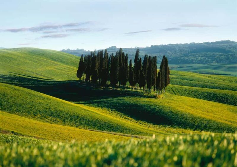 Siena: Guided visit of the city in German - Key Points