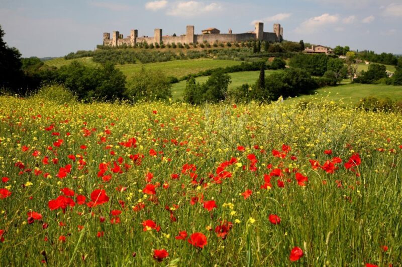 Siena: Half-day Guided Hike to Monteriggioni - The Practicalities: What to Expect