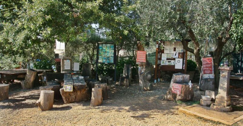 Siena: Half-day Guided Hike to Monteriggioni - Value for Money