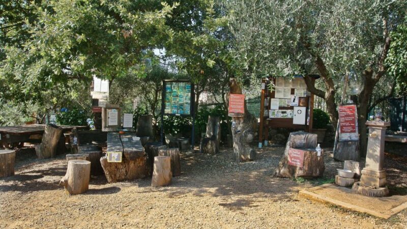 Siena: Half-day Guided Hike to Monteriggioni - Frequently Asked Questions