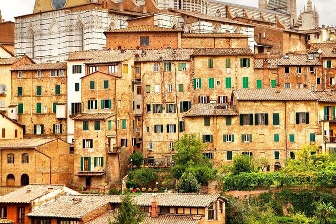Siena Highlights Private Walking Tour With A Guide (Private Tour) - Authentic Experiences and Genuine Insights
