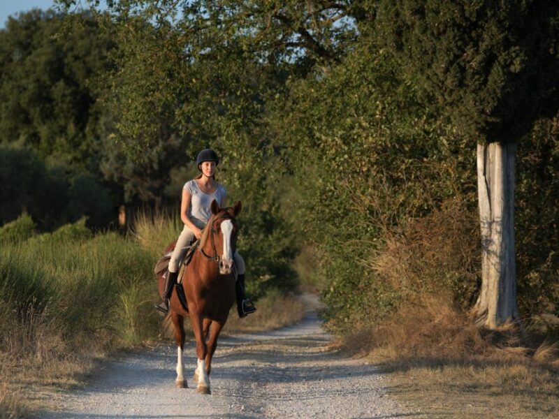 Siena: Horseback Adventure in the Tuscan Countryside - The Cost and Value