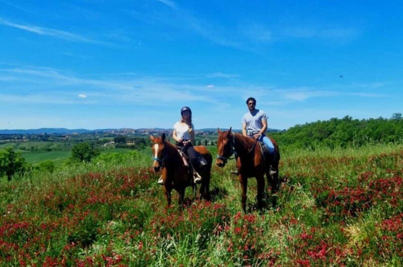 Siena: Horseback Riding Tour in the Tuscany Countryside - A Realistic Look at the Experience