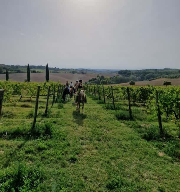 Siena: Horseback Riding Tour in the Tuscany Countryside - The Breaks and Additional Experiences