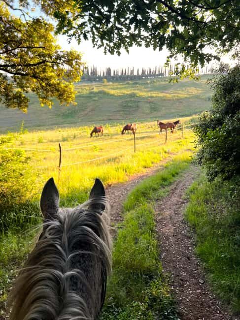 Siena: Horseback Riding with Siena in the background - FAQ