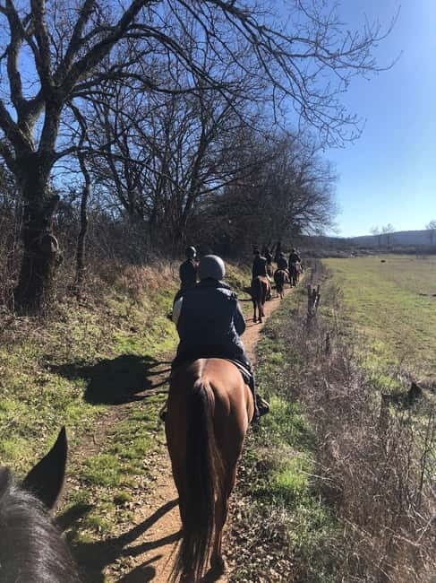 Siena: Horseback Tour on the Via Francigena - What Its Like to Ride Along the Via Francigena