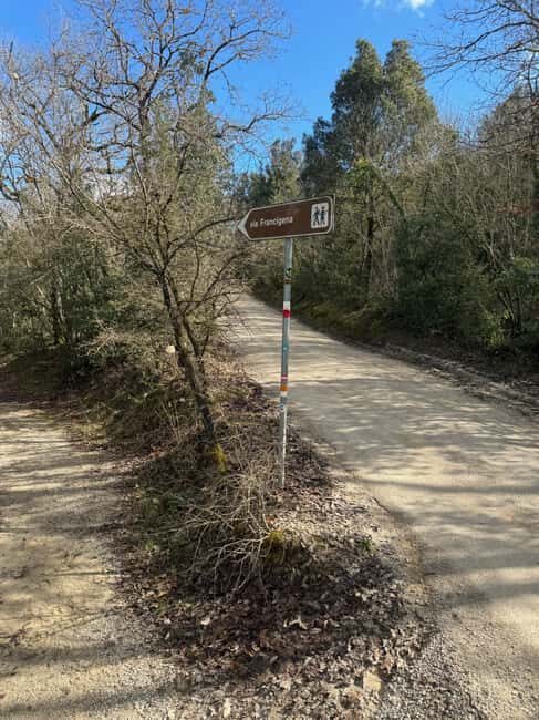 Siena: Horseback Tour on the Via Francigena - Practical Details and What to Expect