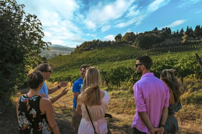 Siena: Organic Winery Tour and Wine Tasting - An In-Depth Look at the Experience