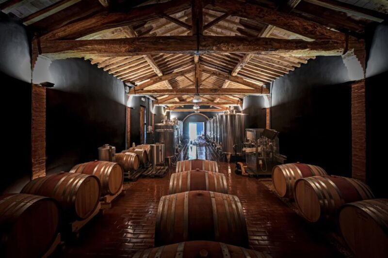 Siena: Organic Winery Tour and Wine Tasting - The Sum Up