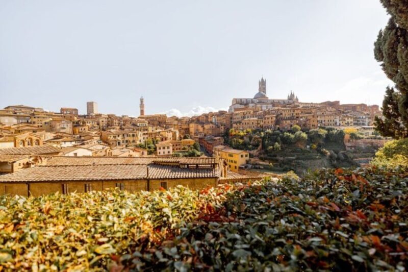 Siena: Private Custom Tour with a Local Guide - Why Choose a Private, Custom Tour in Siena?