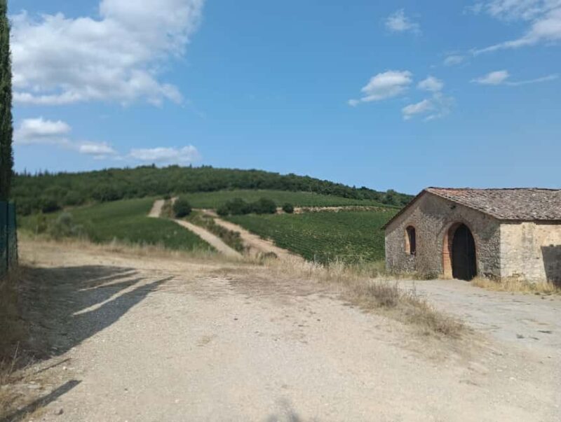 Siena: Small-group Cooking Class in a Chianti Farm - A Deep Dive into the Experience