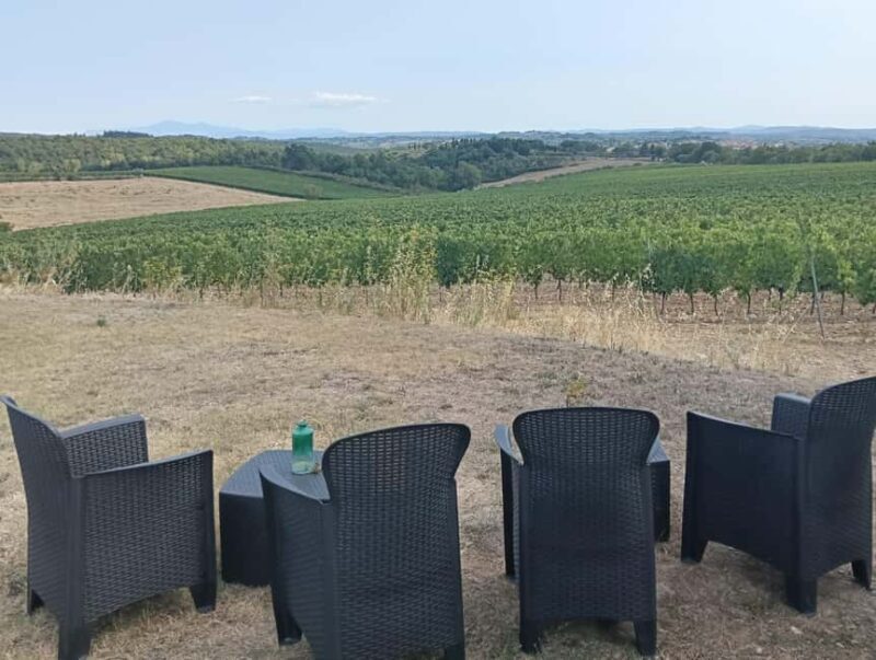 Siena: Small-group Cooking Class in a Chianti Farm - Practical Details and Tips