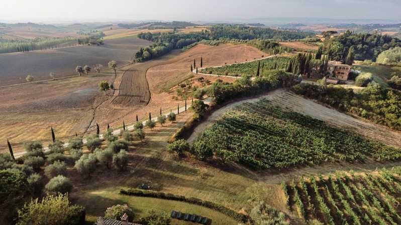 Siena: Winery tour/tasting with owner/maker of awarded wines - Taking a closer look at this winery tour in Siena
