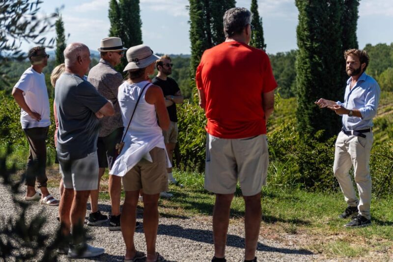 Siena: Winery tour/tasting with owner/maker of awarded wines - Reviews from past visitors