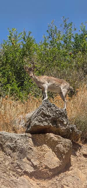 Sierra Nevada: Waterfalls , Caves & Bridges Hike with Picnic - Final Thoughts: Is This Tour Right for You?