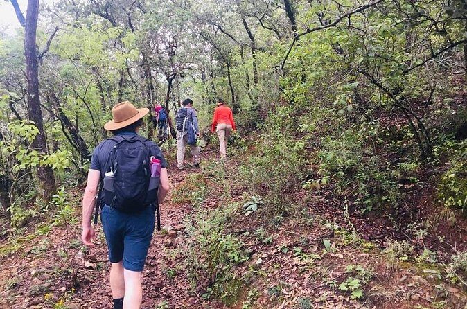 Sierra Norte 1 Day Guided Hiking - FAQs