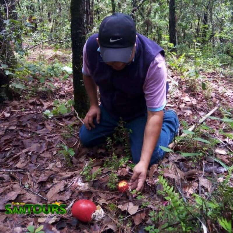 Sierra Norte: Eco Adventure Tour - Key Points