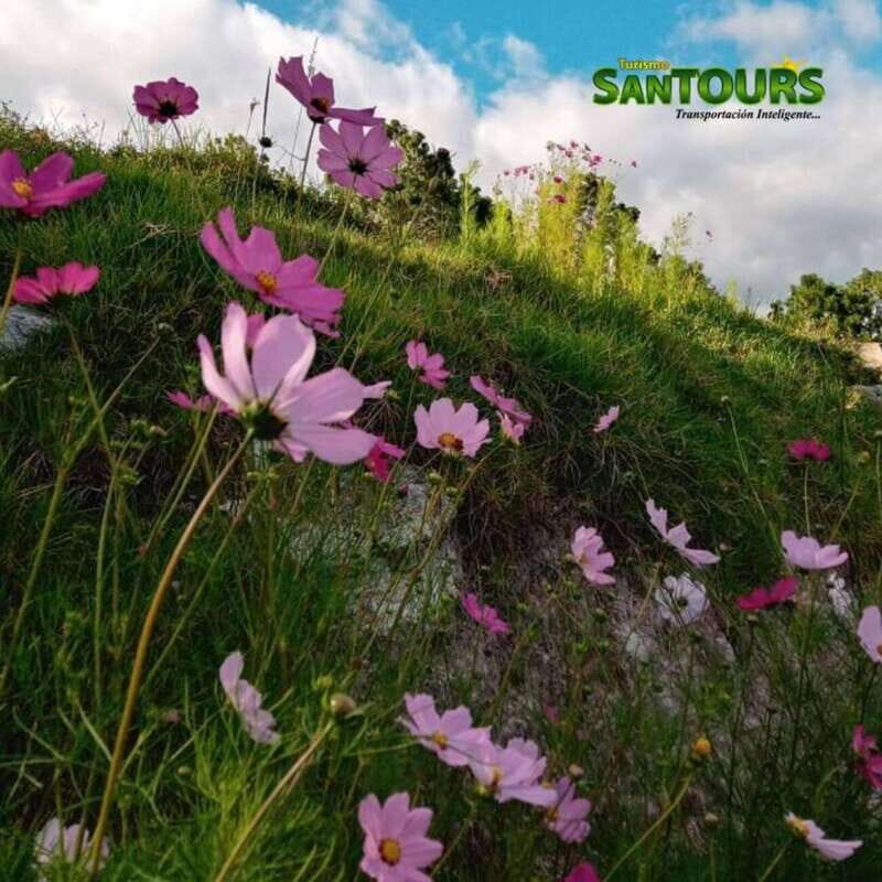 Sierra Norte: Eco Adventure Tour - Final Thoughts