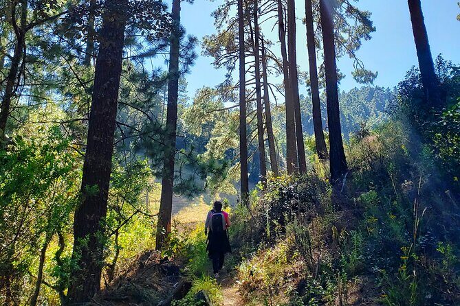 Sierra Norte Hike and Indigenous Village Full-Day Adventure - An In-Depth Look at the Sierra Norte Hike and Village Tour
