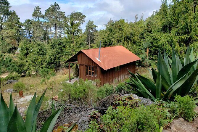 Sierra Norte Hike and Indigenous Village Full-Day Adventure - Final Thoughts