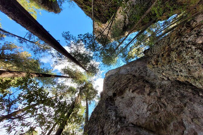 Sierra Norte Hike and Indigenous Village Full-Day Adventure - FAQ