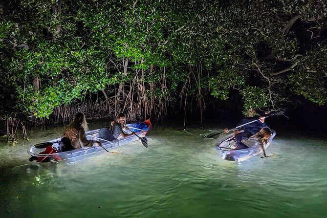 Siesta Key, FL - Clear Kayak LED Night Glass Bottom Tour - A Deep Dive into the Experience