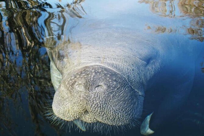 Siesta Key Guided Eco Tour - What to Expect from the Siesta Key Guided Eco Tour