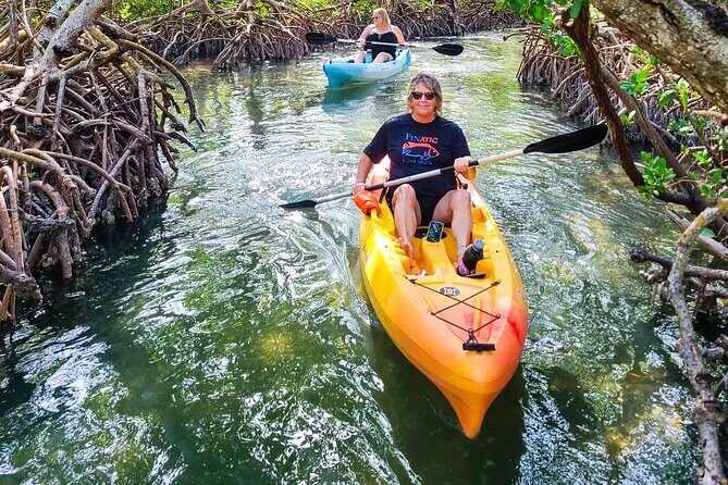Siesta Key Kayak Tour - An In-Depth Look at the Siesta Key Kayak Tour Experience