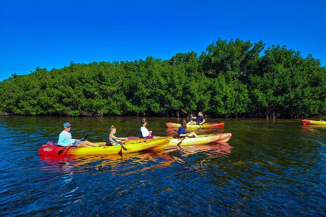 Siesta Key Kayak Tour - The Bottom Line