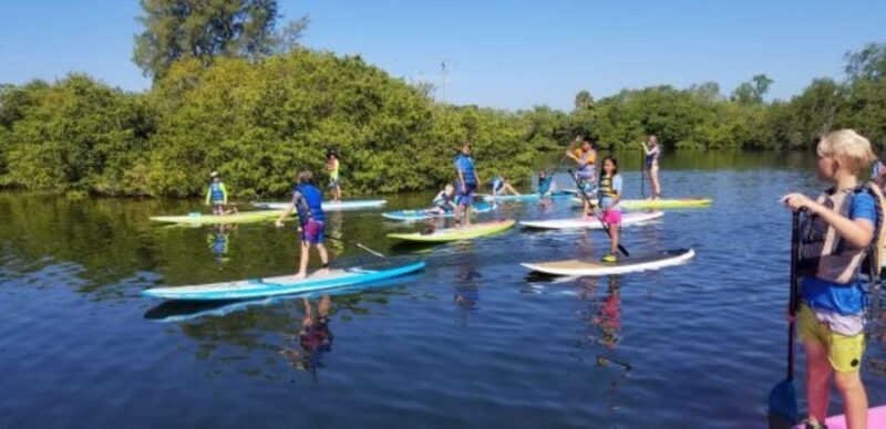 Siesta Key: Mangrove Kayak or Paddleboard Tour - What to Expect on the Tour