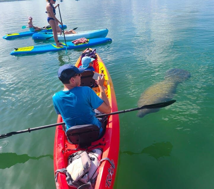 Siesta Key: Mangrove Kayak or Paddleboard Tour - Who Will Love This Tour?
