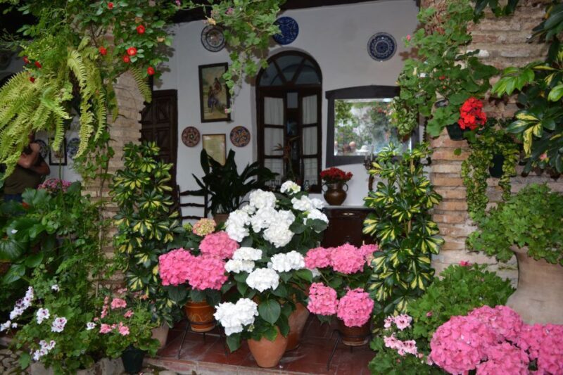 Sights, Sounds, and Scents of Córdoba's Patios - Authenticity and Value