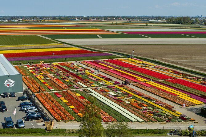 Sightseeing Keukenhof Tulip fields, Giethoorn tour from Amsterdam - The Tulip Museum and Experience