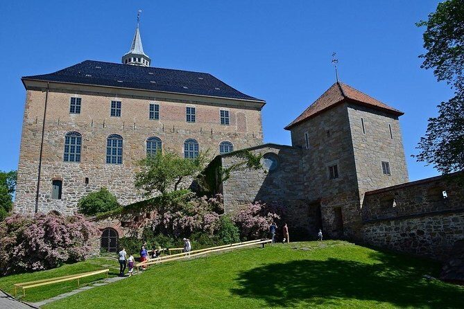 Sightseeing Private Tour of Oslo and Viking Ship Museum - Key Points