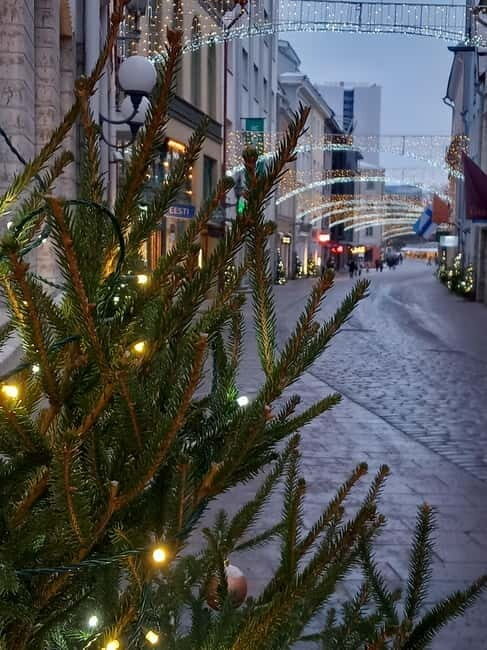 Sightseeing tour "Around Tallinn in 3 hours" - Practical Considerations