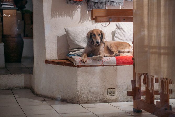 Sightseeing tour from Nice to Saint-Paul-de-Vence and Provence - Frequently Asked Questions