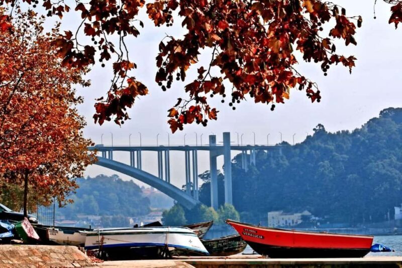 Sightseeing Tour Porto: City Highlights - Final Thoughts