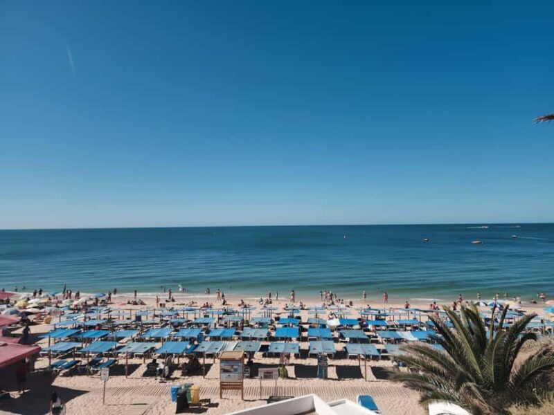 Sightseeing Tour Sesimbra and Setúbal - Key Points