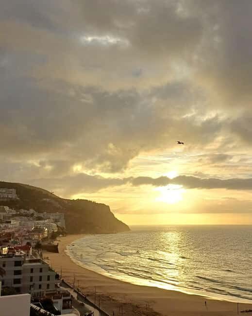 Sightseeing Tour Sesimbra and Setúbal - Who Should Consider This Tour?