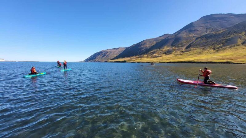 Siglufjörður: Private Guided SUP Tour - What Is the Siglufjörður Private SUP Tour?