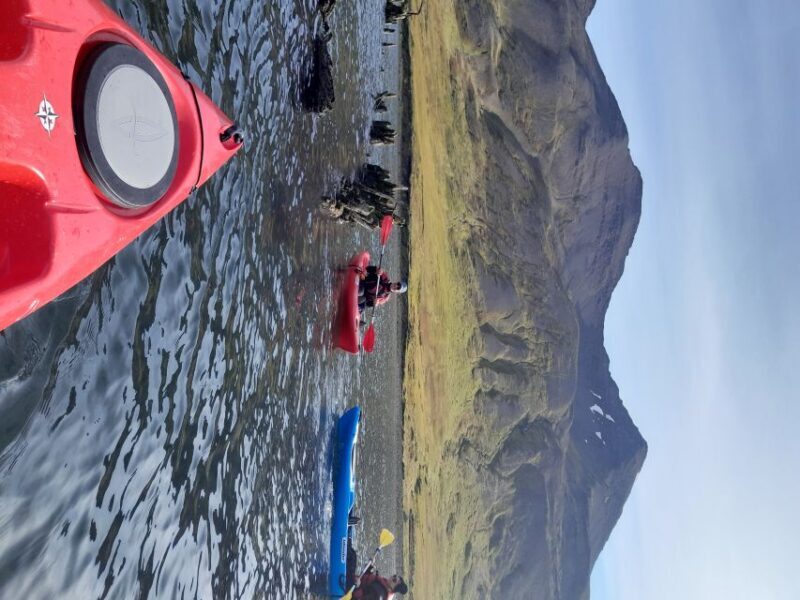 Siglufjörður / Siglufjordur: Guided kayak tour. - What Makes This Kayak Tour Stand Out?