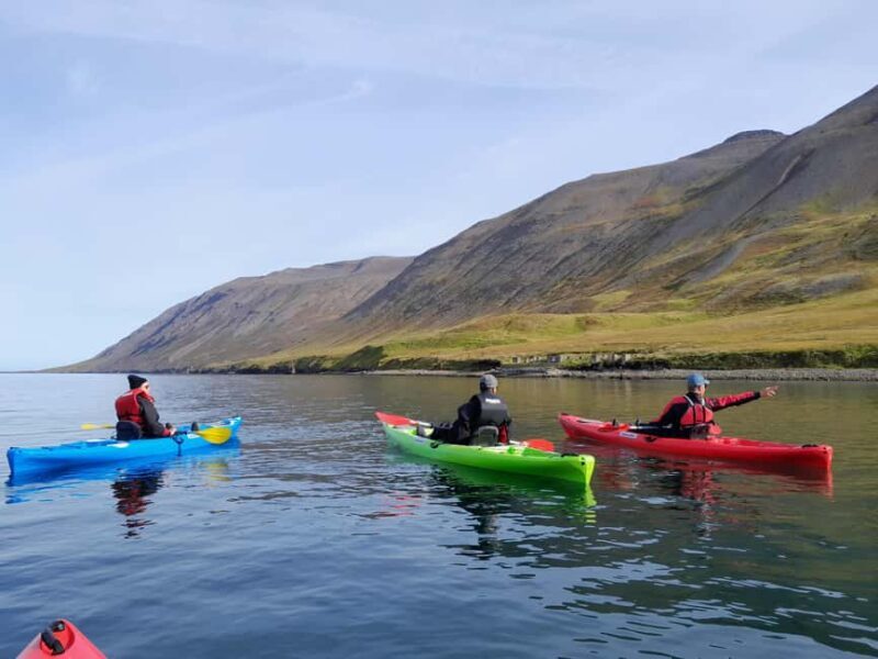 Siglufjörður / Siglufjordur: Guided kayak tour. - FAQ