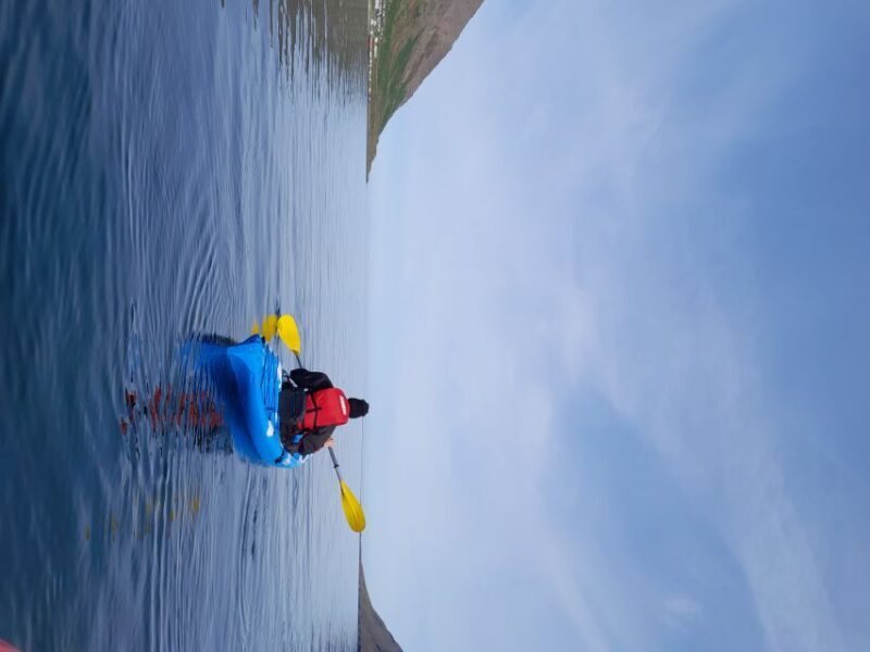 Siglufjörður / Siglufjordur: Private Guided kayak tour. - Key Points