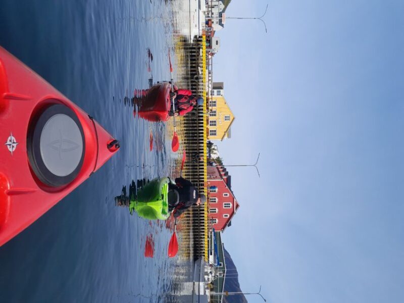 Siglufjörður / Siglufjordur: Private Guided kayak tour. - An Introduction to the Kayak Tour in Siglufjörður