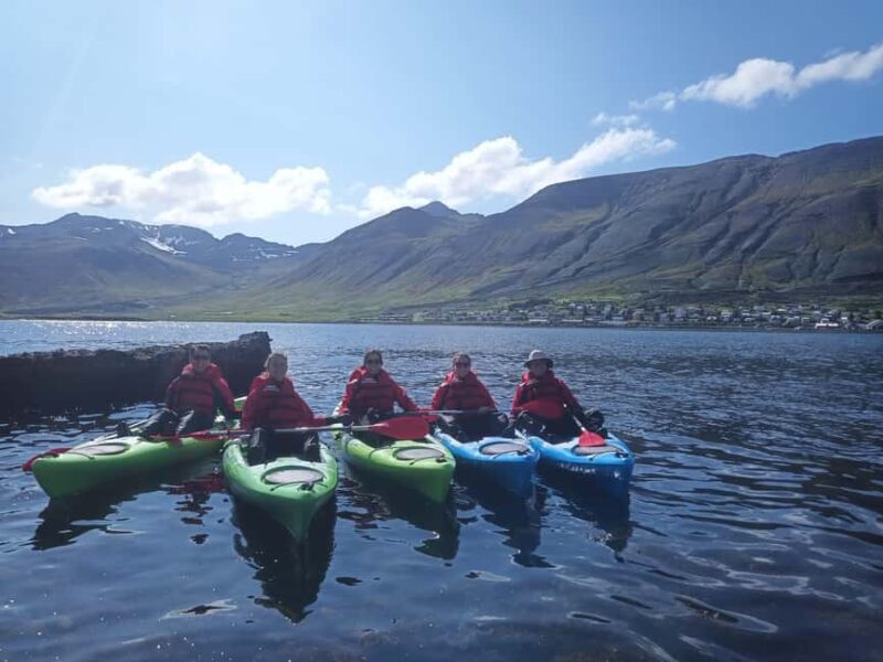 Siglufjörður / Siglufjordur: Private Guided kayak tour. - What You’ll See and Experience