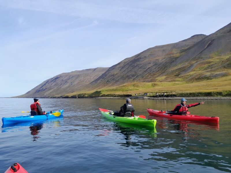 Siglufjörður / Siglufjordur: Private Guided kayak tour. - Practical Details and Logistics