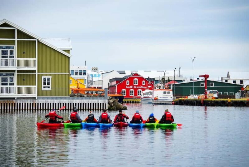 Siglufjörður / Siglufjordur: Private Guided kayak tour. - Final Thoughts