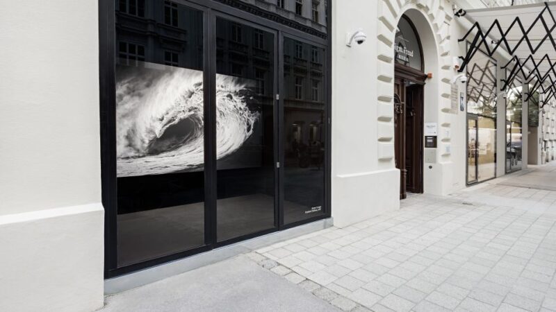 Sigmund Freud Museum Ticket - Discovering the Sigmund Freud Museum: An Honest Look