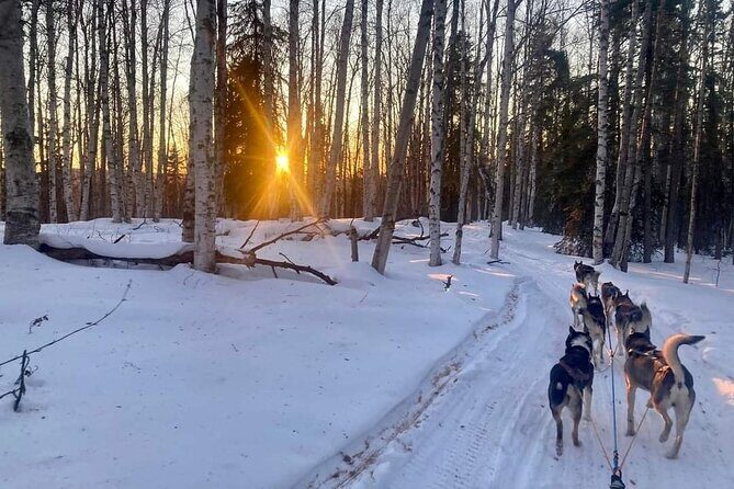 Signature Ridge Top Mush - What to Expect During the Tour